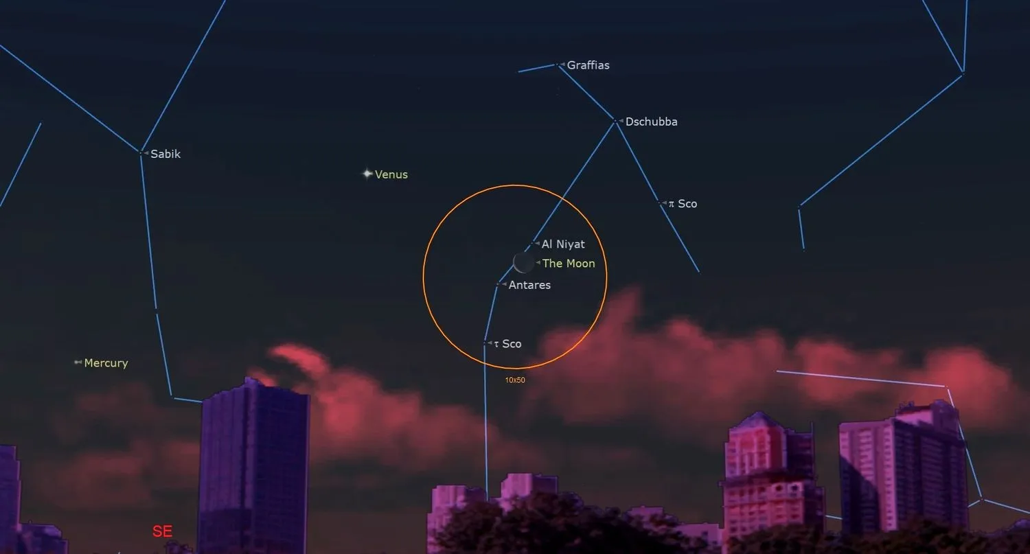 Mehr über den Artikel erfahren Beobachten, wie der rote Überriese Antares am 8. Januar früh hinter dem Mond vorbeizieht