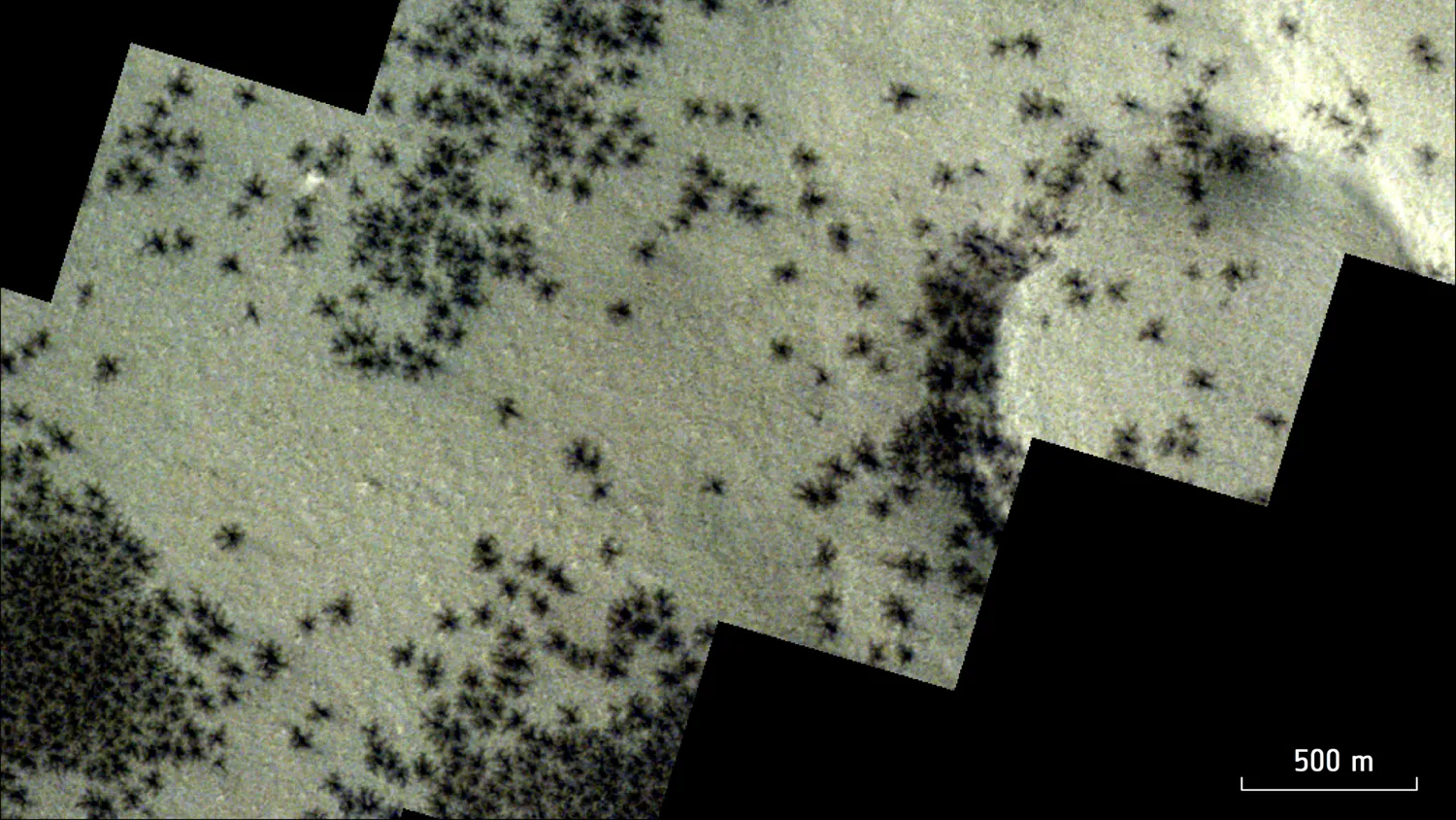 Mehr über den Artikel erfahren Satelliten entdecken Gruppen von „Spinnen“, die sich über die Inka-Stadt auf dem Mars ausbreiten (Foto)