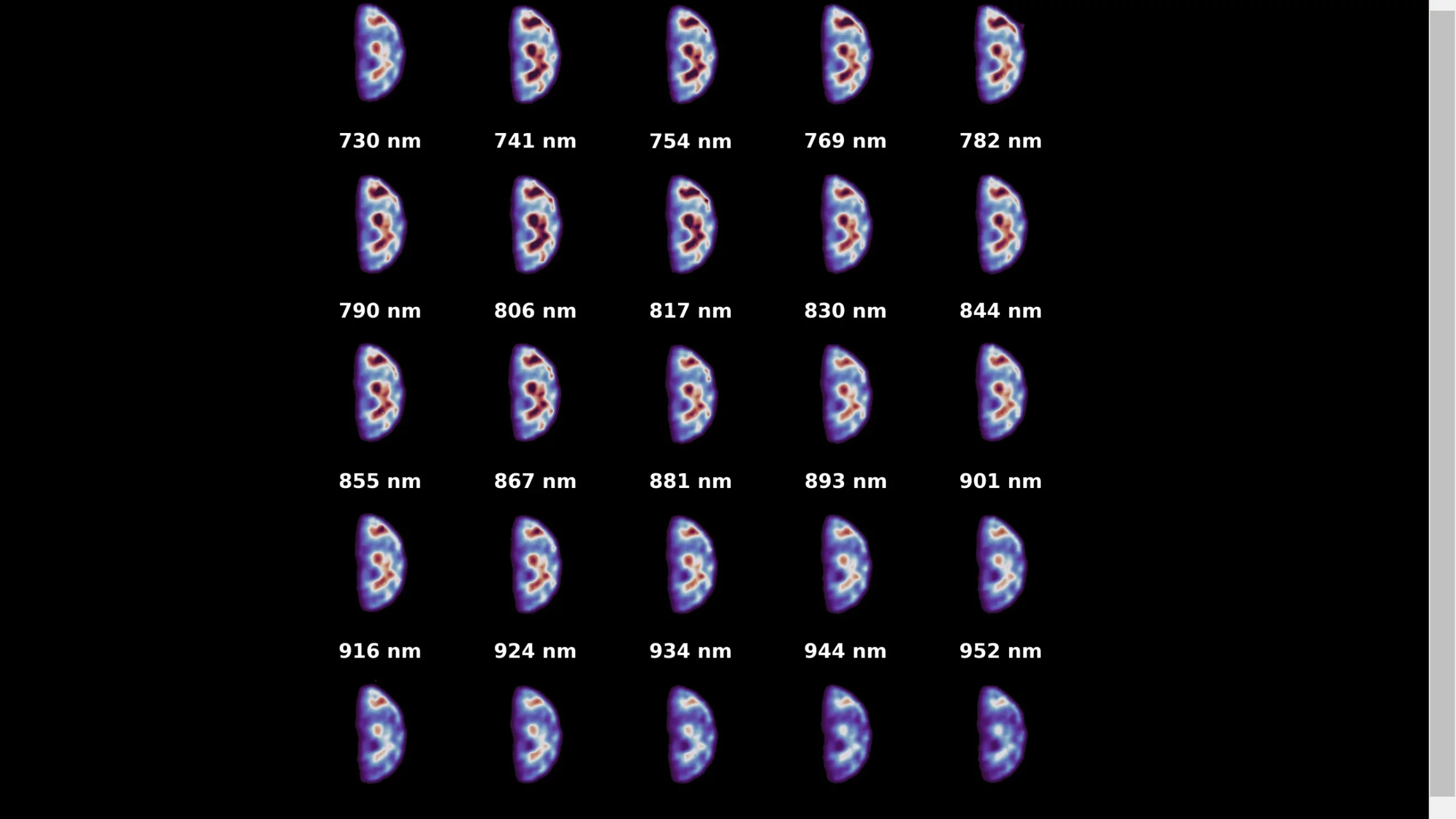 Mehr über den Artikel erfahren Die Erde sieht auf diesen Hyperspektralbildern der europäischen Asteroiden-Sonde Hera wirklich gespenstisch aus