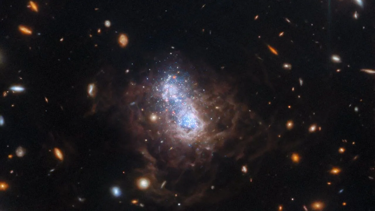 Mehr über den Artikel erfahren Wunderschönes Bild des James-Webb-Weltraumteleskops fängt alte und neue funkelnde Sterne ein