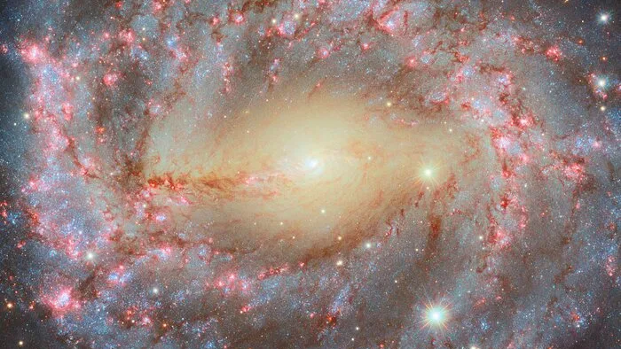 Mehr über den Artikel erfahren Große“ Spiralgalaxie glänzt auf neuem Foto des Hubble-Teleskops