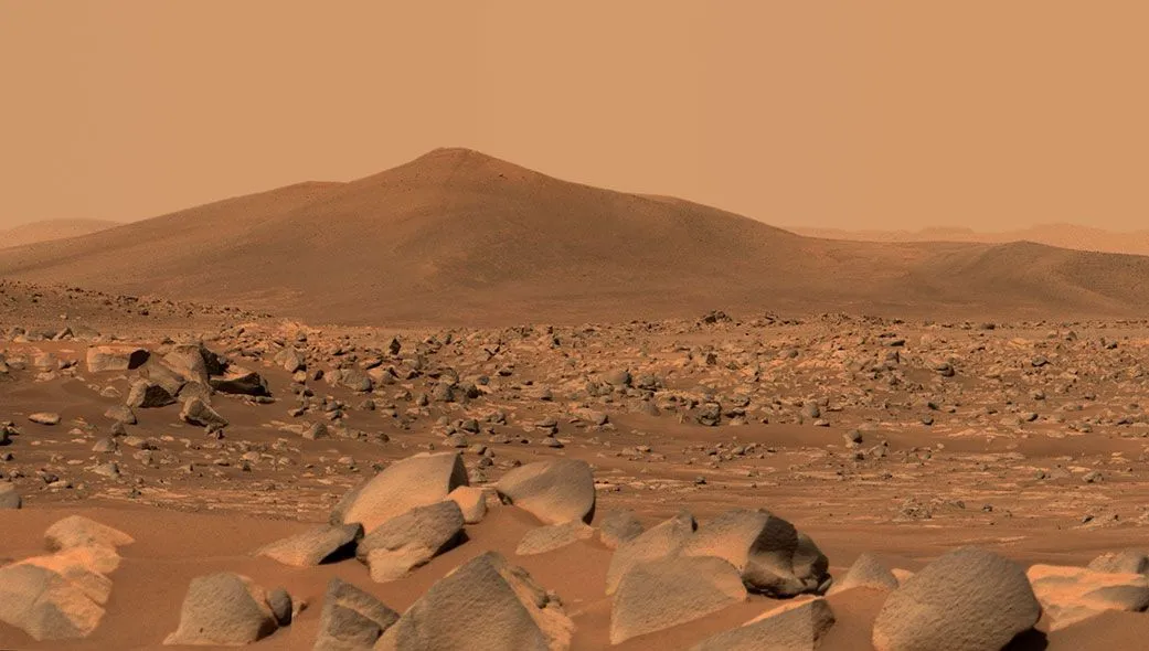 Mehr über den Artikel erfahren Tausende von seltsamen weißen Steinen auf dem Mars gefunden. Werden sie jemals zur Erde gebracht werden?