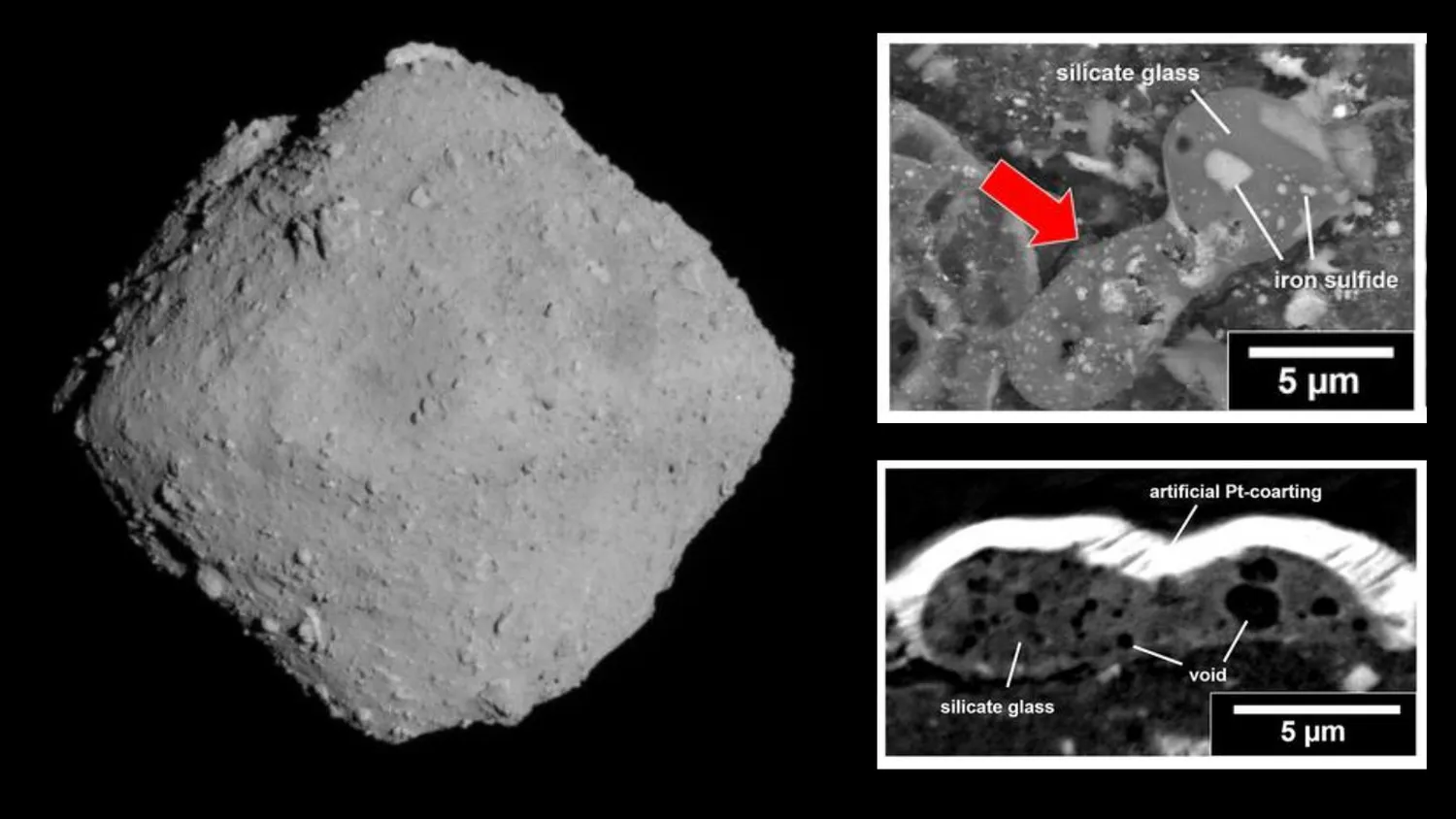Mehr über den Artikel erfahren Proben des Asteroiden Ryugu deuten darauf hin, dass es auf der Erde Leben gibt, weil es Kometen gibt