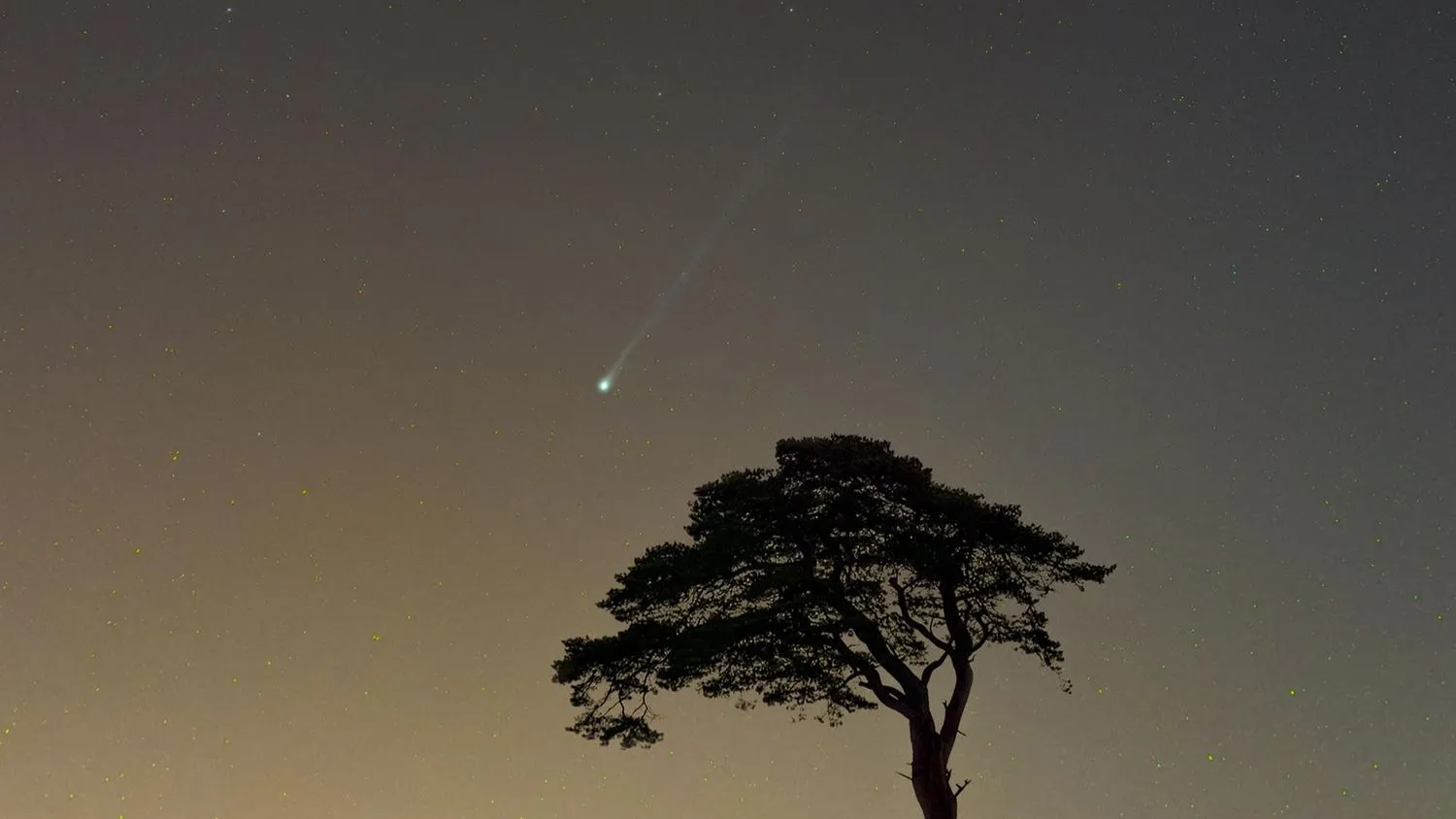 Mehr über den Artikel erfahren Erstaunliche Fotos des „gehörnten“ Kometen 12P/Pons-Brooks aus aller Welt