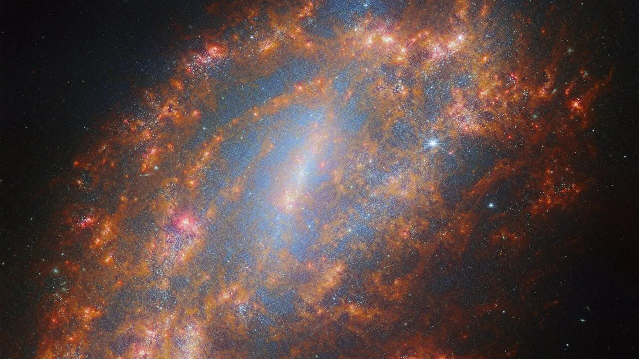 Mehr über den Artikel erfahren James Webb Weltraumteleskop sieht das Infrarotskelett einer Galaxie (Bild)