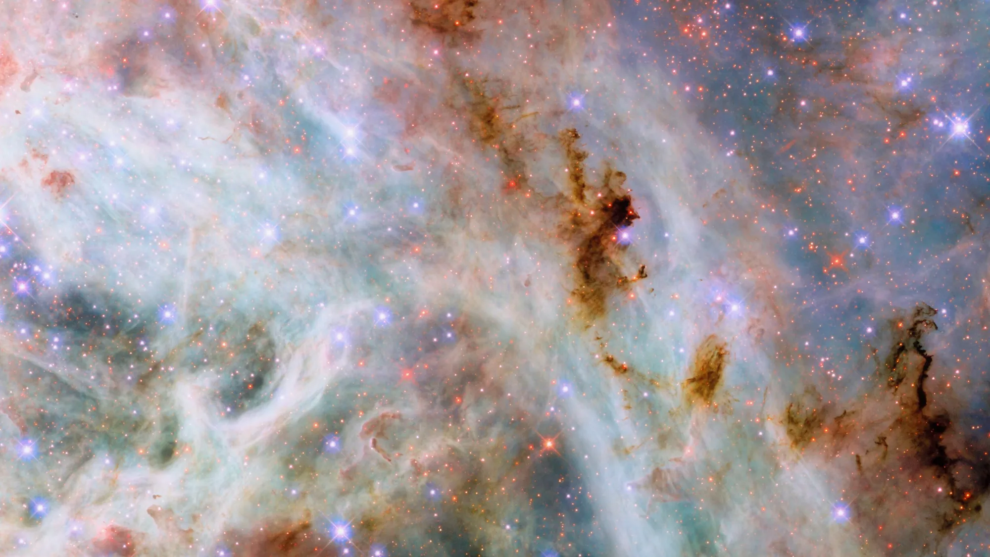 Mehr über den Artikel erfahren Hubble-Teleskop nimmt kosmische Zuckerwatte in der Nähe des Tarantula-Nebels ins Visier (Foto)