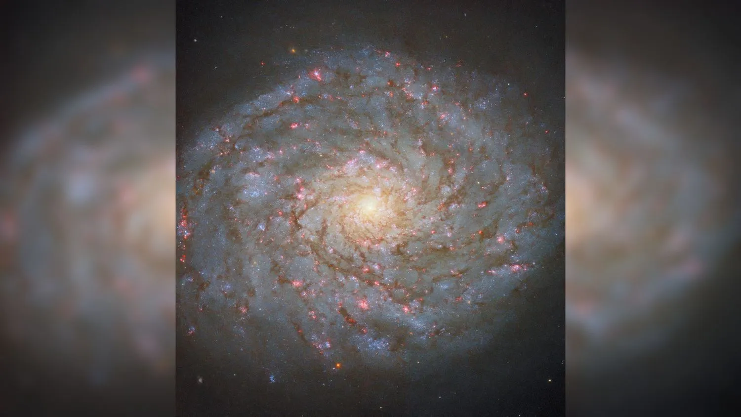 Mehr über den Artikel erfahren Galaxie „Bernice’s Hair“ funkelt auf neuem Hubble-Teleskop-Foto mit Juwelen