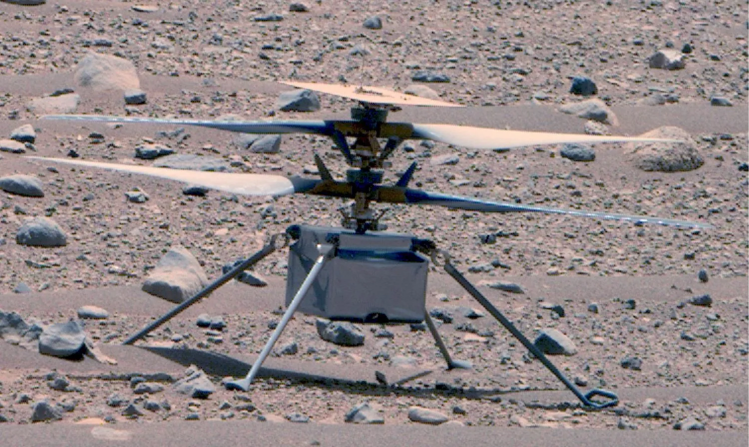 Mehr über den Artikel erfahren NASA stellt Kontakt zum Mars-Helikopter Ingenuity wieder her, nachdem die Kommunikation auf dem letzten Flug ausgefallen war