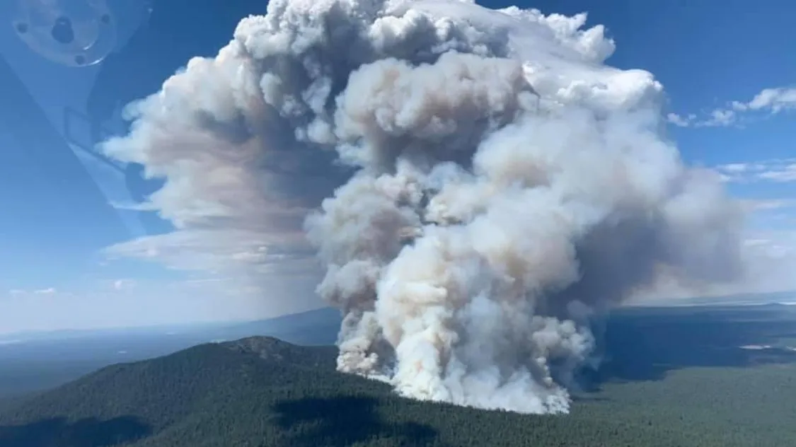 Mehr über den Artikel erfahren US-Regierung vergibt Millionen an NOAA für Forschung zur Bekämpfung von Waldbränden