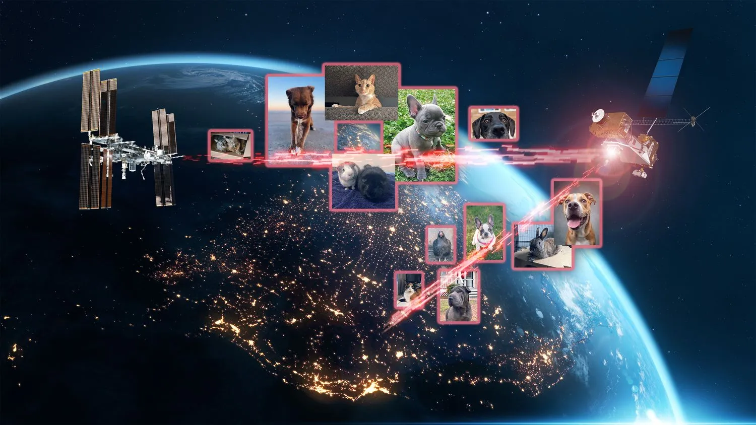 Mehr über den Artikel erfahren Bellen! Miau! Gackern! Die NASA nutzt Laser, um Bilder von Hunden, Katzen und Hühnern auf die ISS zu übertragen