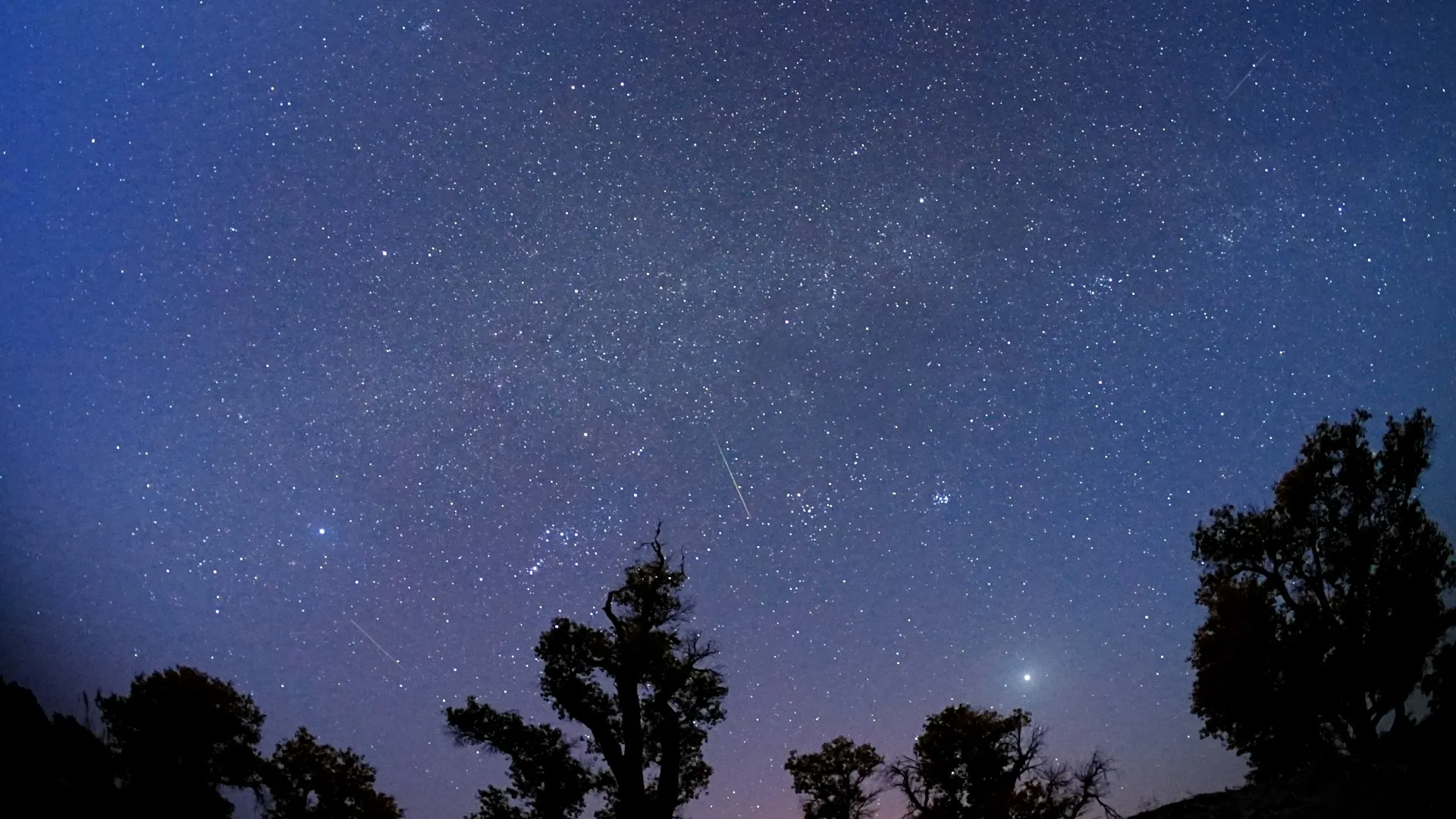 Mehr über den Artikel erfahren Der Orioniden-Meteoritenschauer erreicht dieses Wochenende seinen Höhepunkt: Wie man Teile des Halleyschen Kometen am Nachthimmel verglühen sieht