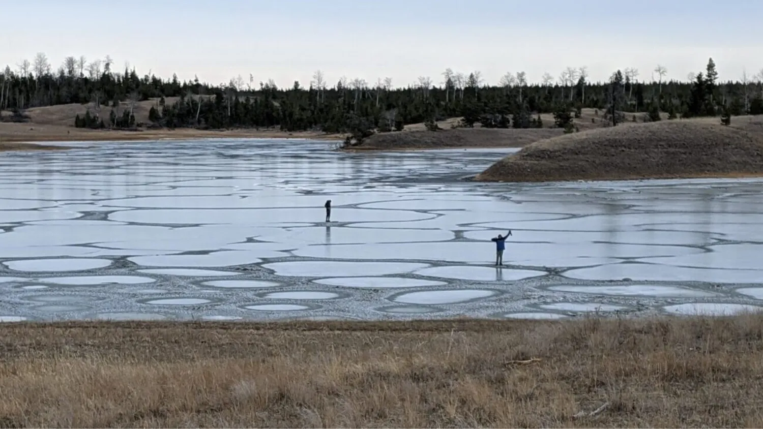 Mehr über den Artikel erfahren Ein flacher See in Kanada könnte Aufschluss darüber geben, wie das Leben auf der Erde begann