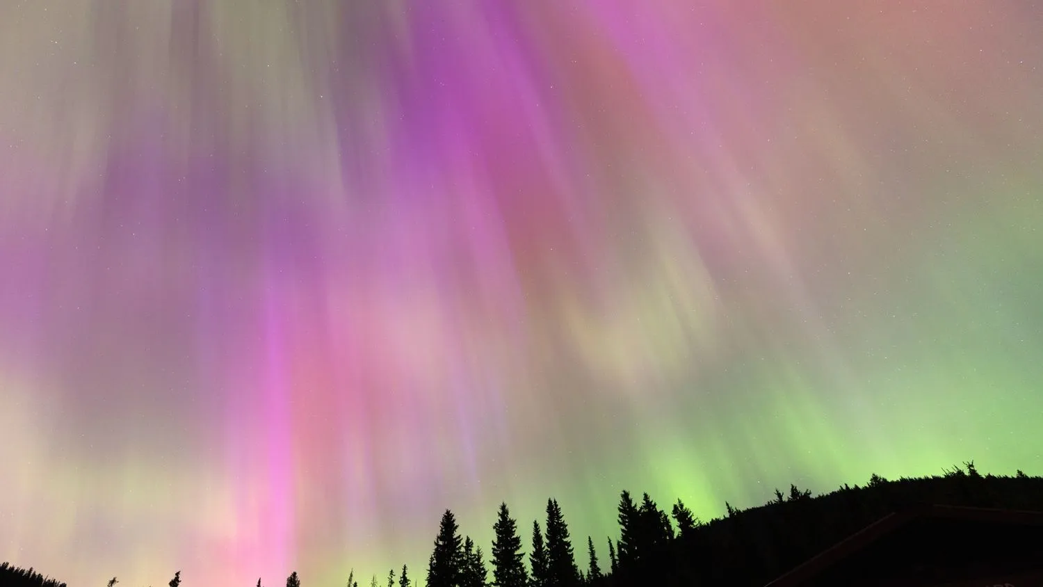 Mehr über den Artikel erfahren Das erste „hyperspektrale“ Bild des Polarlichts zeigt die wahren Farben des Nordlichts