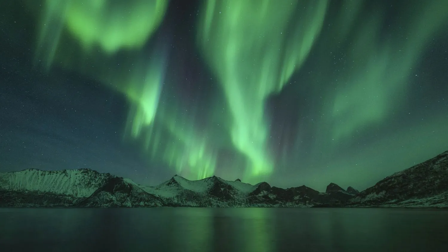 Mehr über den Artikel erfahren Polarlichtjagd – Wie es ist, entlang der dramatischen Küste Norwegens dem Nordlicht nachzujagen